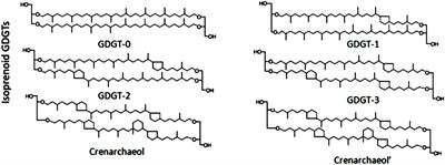 Variation of Isoprenoid GDGTs in the Stratified Marine Water Column: Implications for GDGT-Based TEX86 Paleothermometry